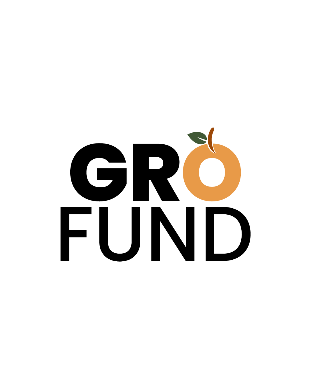 Georgia Resilience & Opportunity Fund